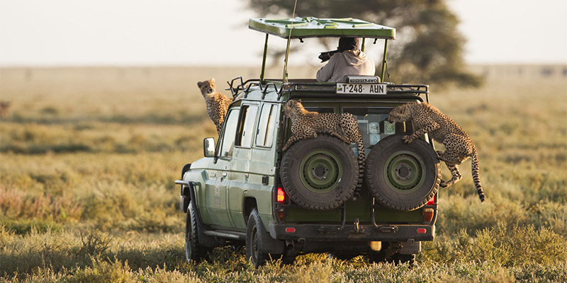 3-days-2-nights-serengeti-national-park-safari-package