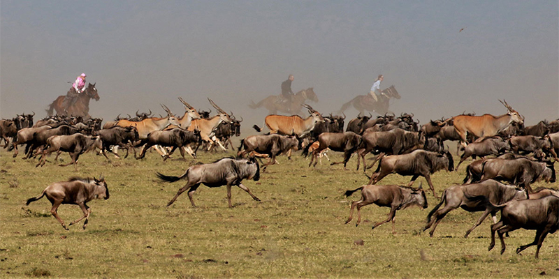 4-days-3-nights-masai-mara-nairobi-migration-safari-package