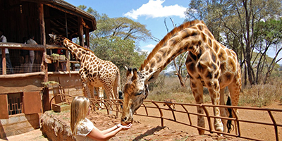 giraffe-center-day-tour