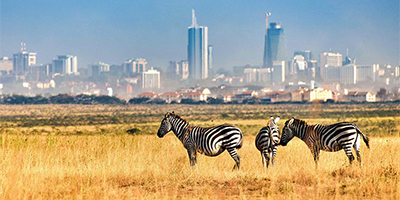 nairobi-national-park-day-tour